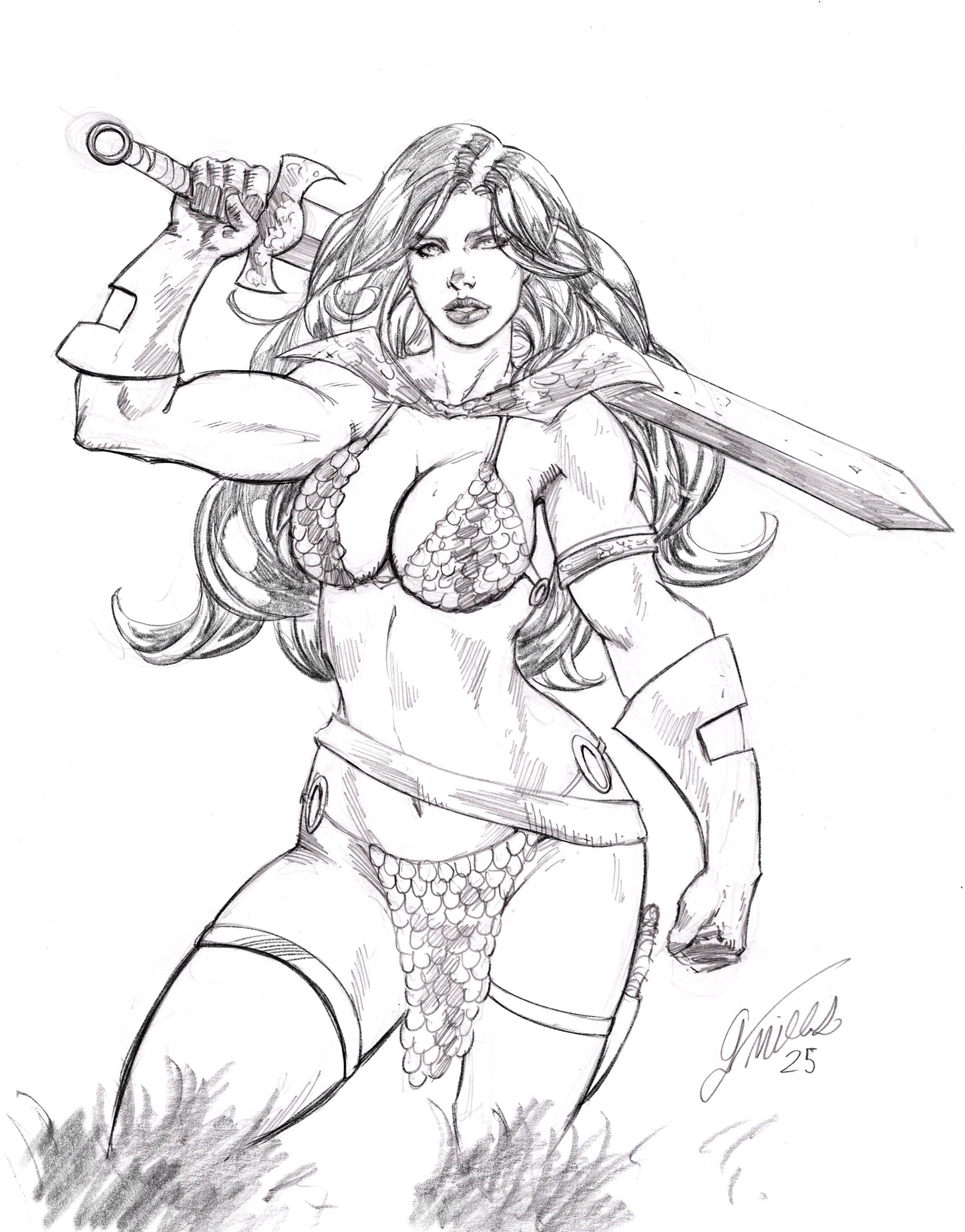 Red Sonja Project File (CSP+PSD)