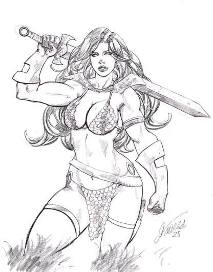 Red Sonja Project File (CSP+PSD)